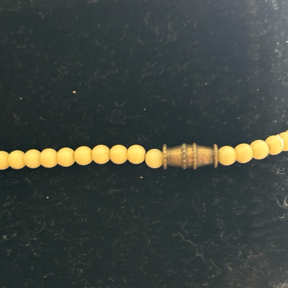 Multi-Color Abalone Shell Beach Vibes/Sea Life Vi… - image 5